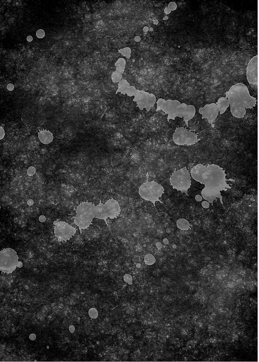 Dịch Vụ Trả Thù Ngoại Truyện 59 trang 23