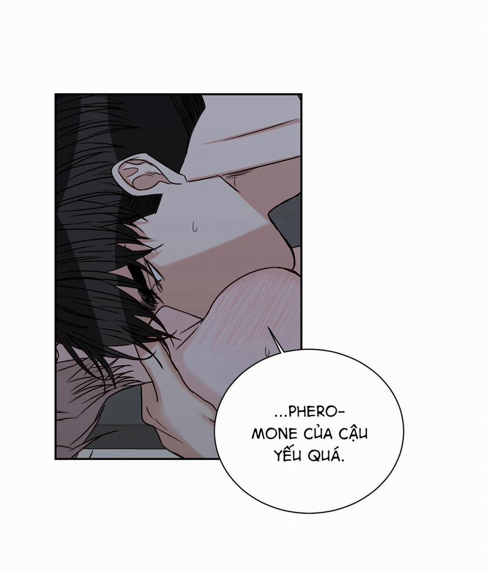 Điểm Dừng Chân Cuối Cùng 30 trang 8