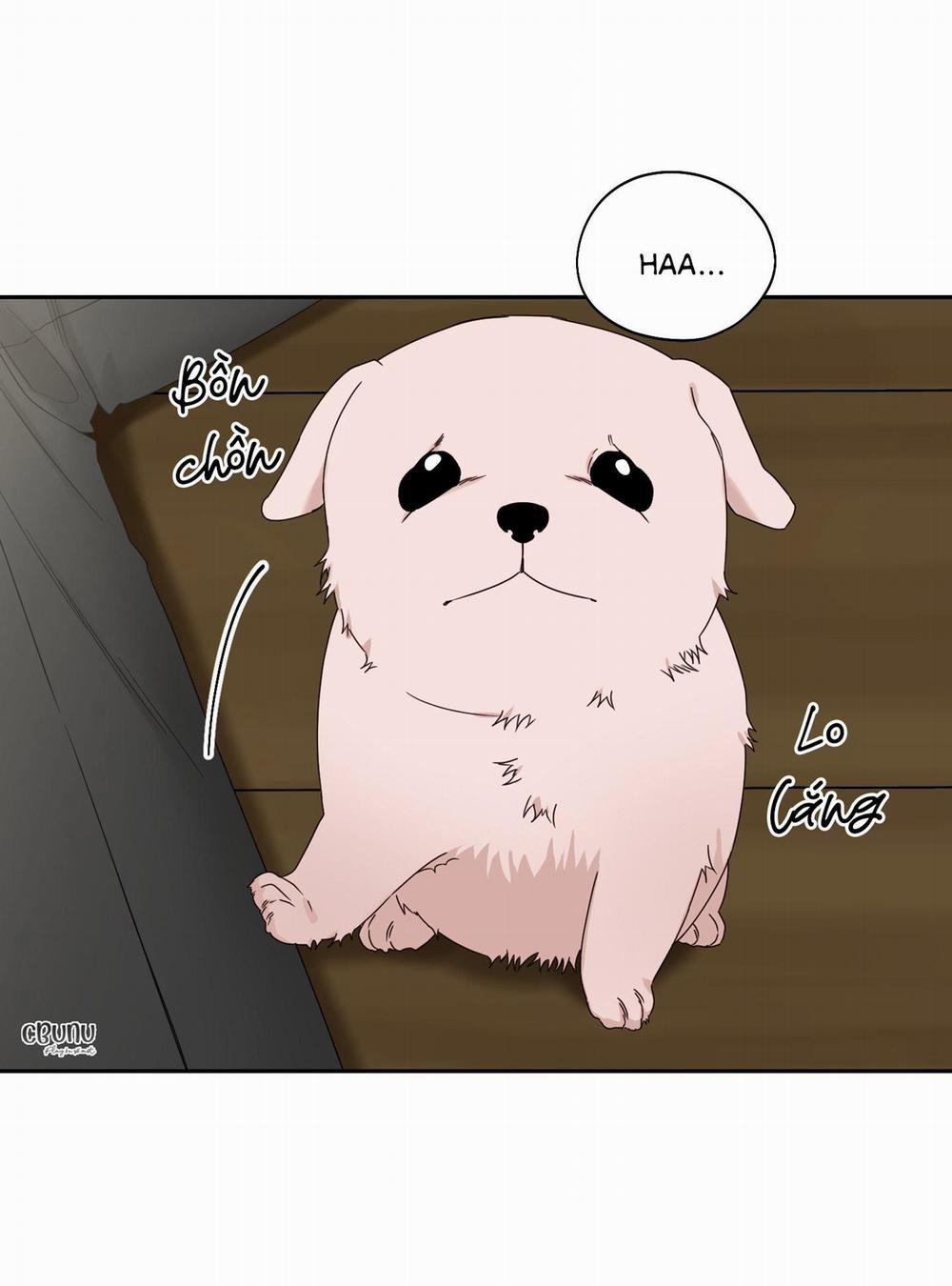 Điểm Dừng Chân Cuối Cùng 41 trang 10