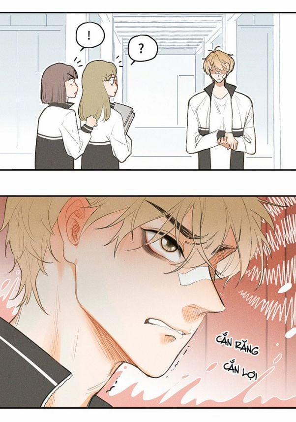 Diêm Hữu 2 trang 4