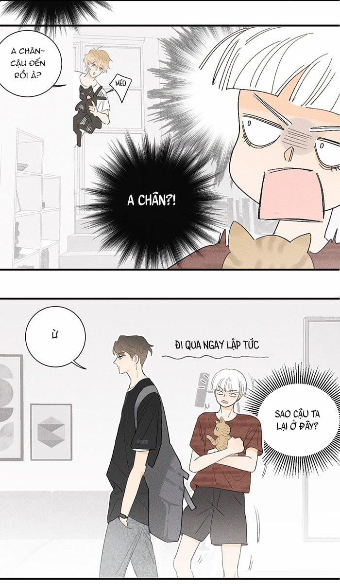 Diêm Hữu 28 trang 11