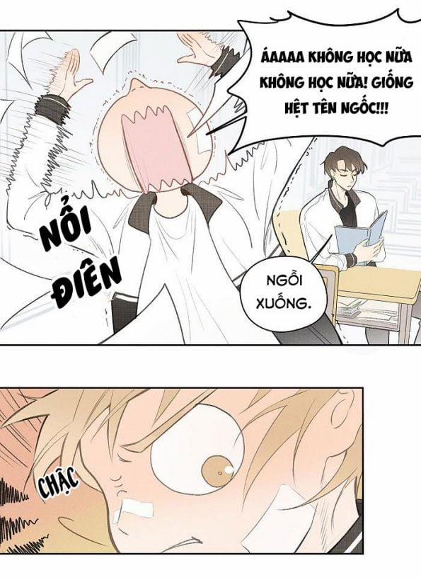 Diêm Hữu 4 trang 17