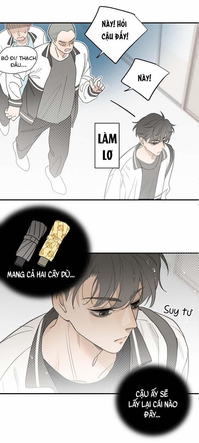 Diêm Hữu 48 trang 13