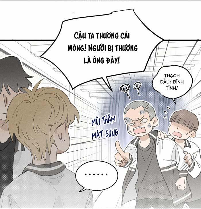 Diêm Hữu 48 trang 31