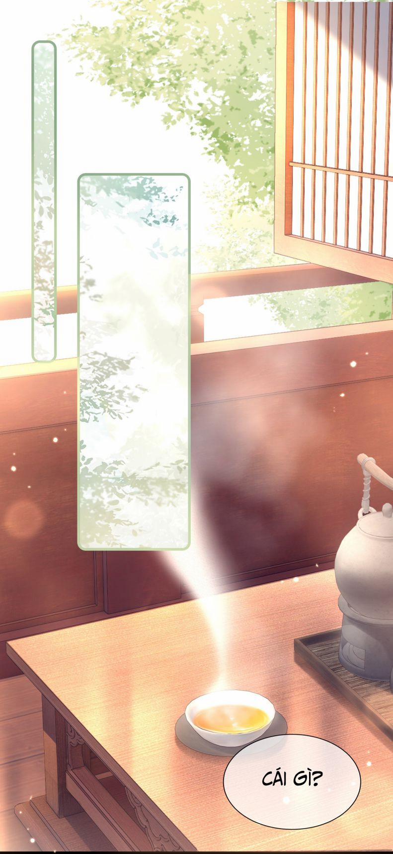 Điện Hạ Khuynh Thành 46 trang 14