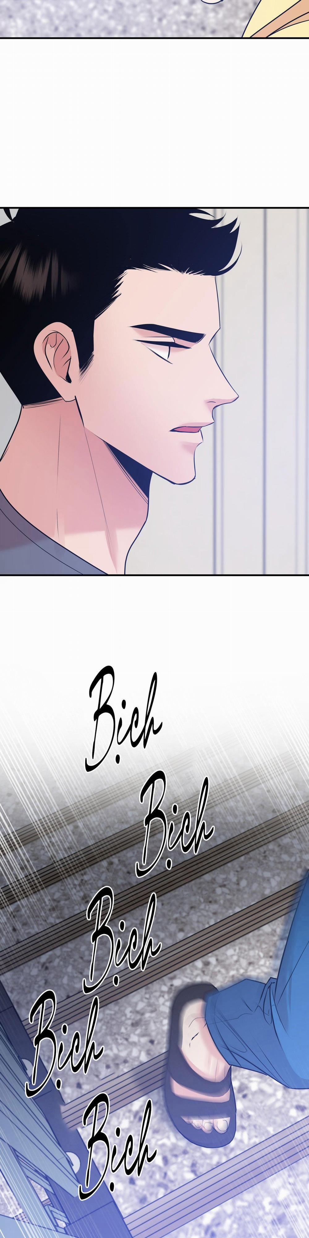 Điều 260 Bộ Luật Hình Sự 1 H+ trang 24