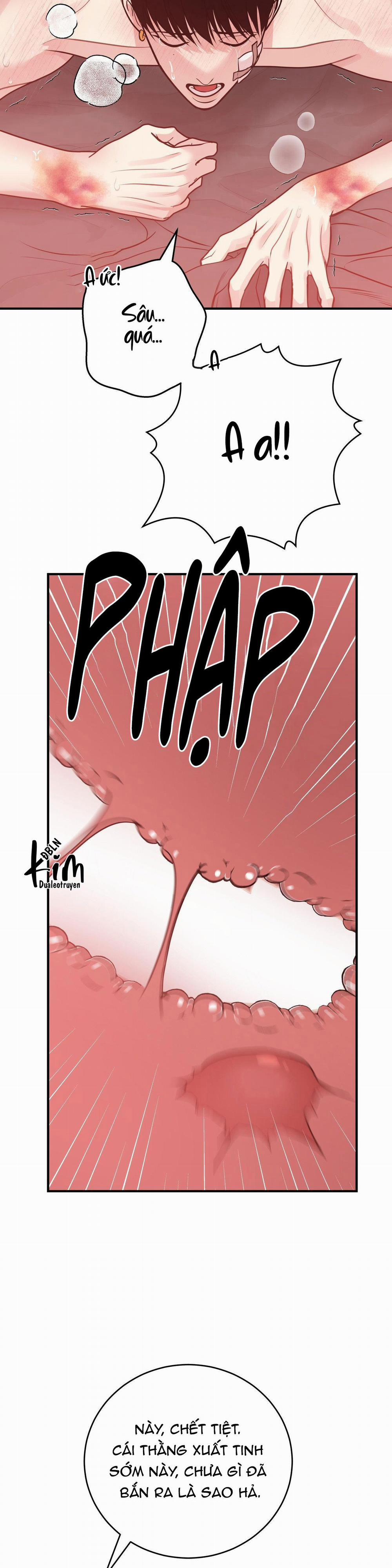 Điều 260 Bộ Luật Hình Sự 1 H+ trang 27