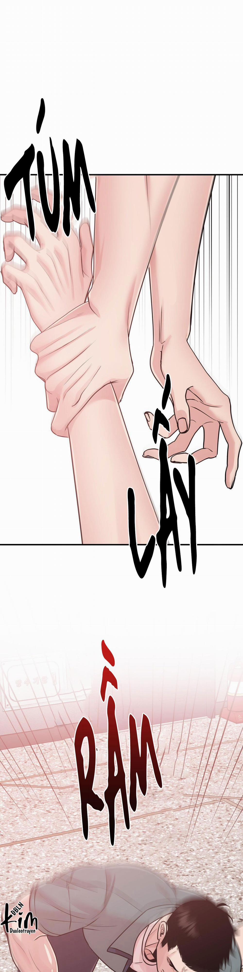 Điều 260 Bộ Luật Hình Sự 1 H+ trang 34