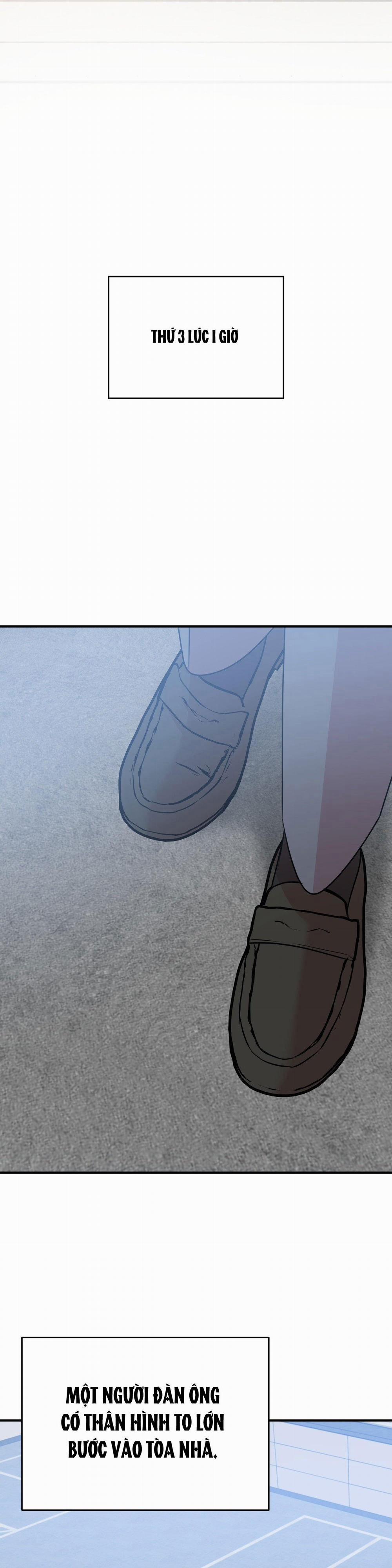 Điều 260 Bộ Luật Hình Sự 1 trang 13