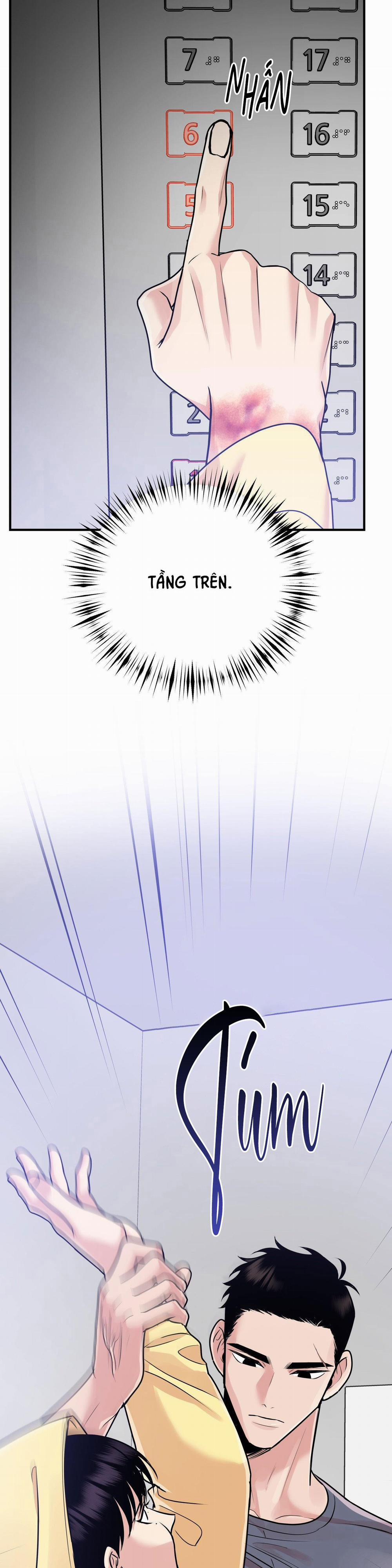 Điều 260 Bộ Luật Hình Sự 1 trang 19