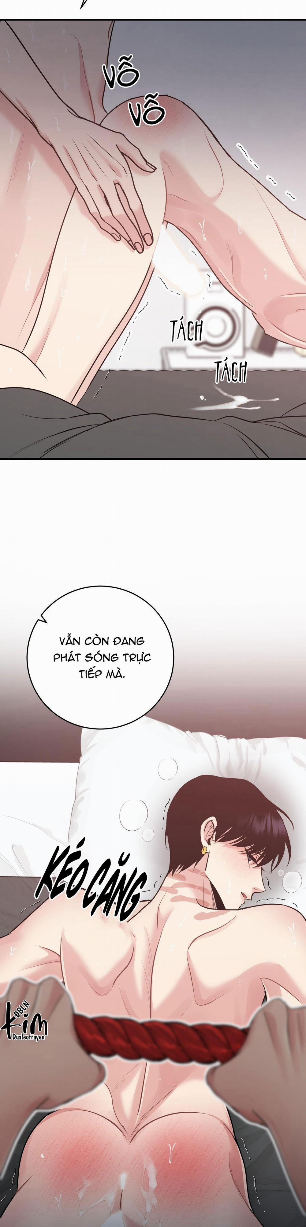 Điều 260 Bộ Luật Hình Sự 1 trang 28