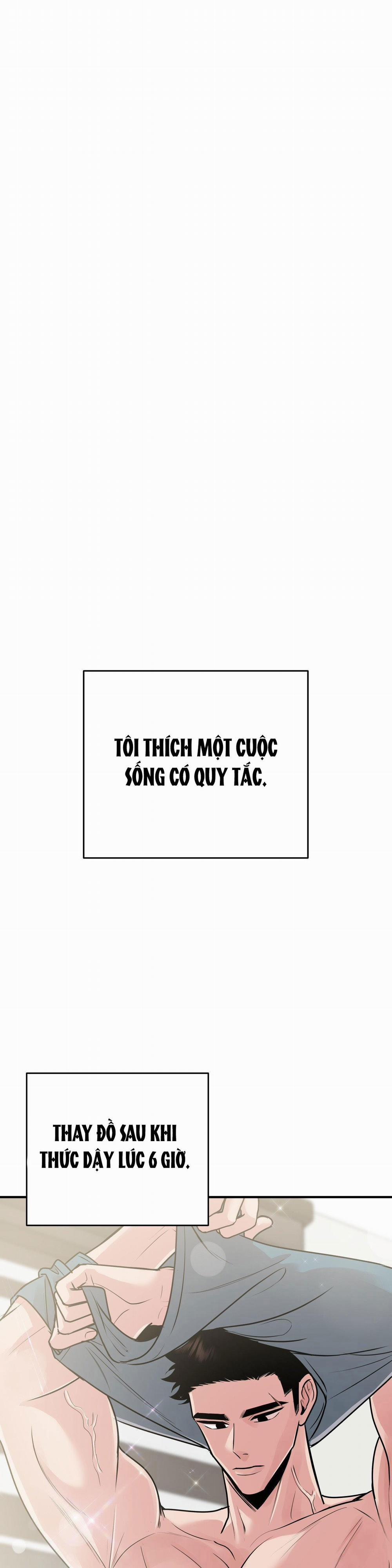 Điều 260 Bộ Luật Hình Sự 1 trang 7