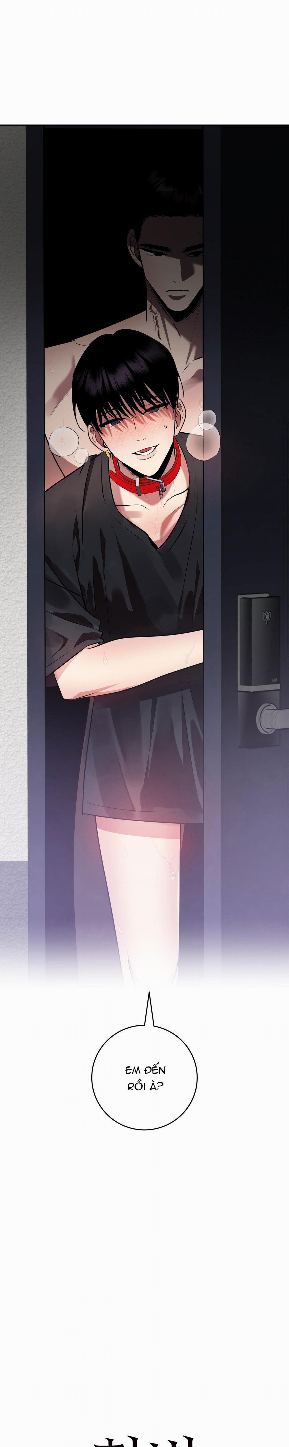 Điều 260 Bộ Luật Hình Sự 10 trang 1