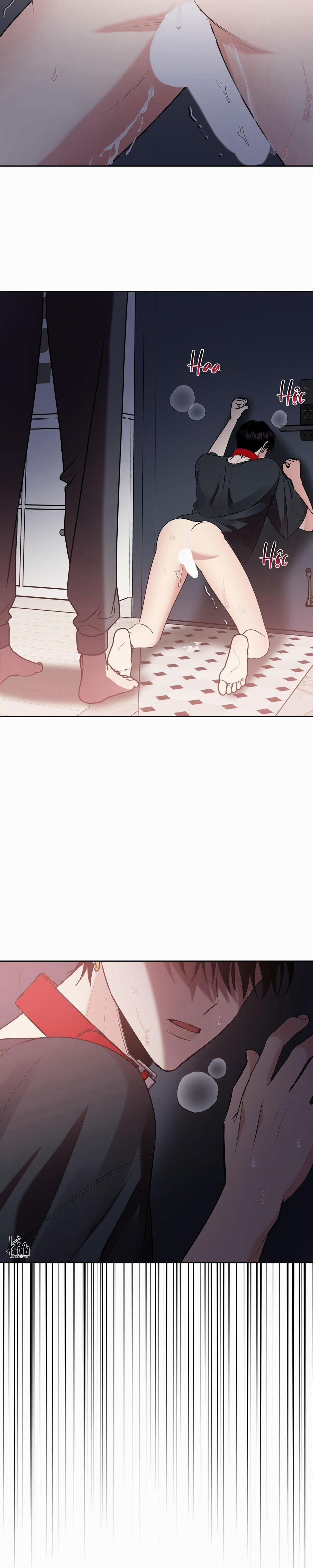 Điều 260 Bộ Luật Hình Sự 10 trang 10