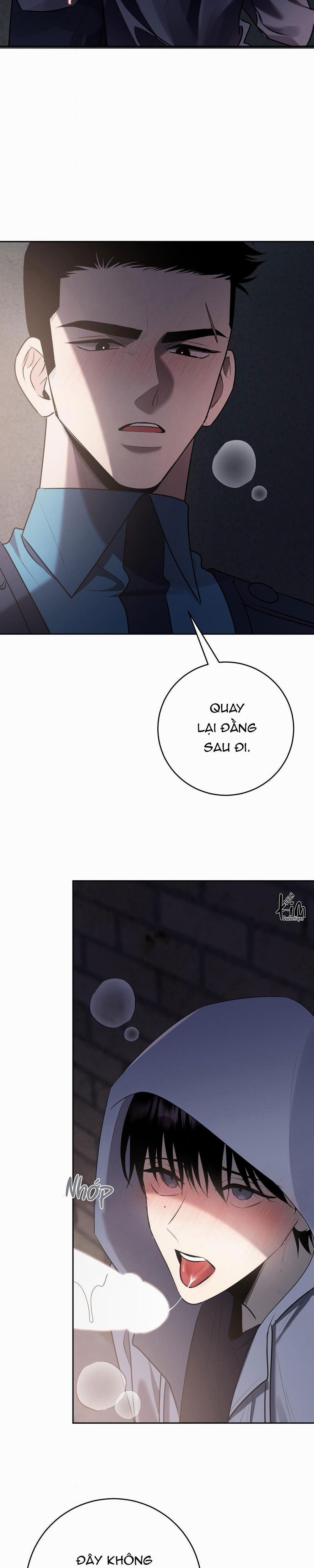 Điều 260 Bộ Luật Hình Sự 10 trang 14