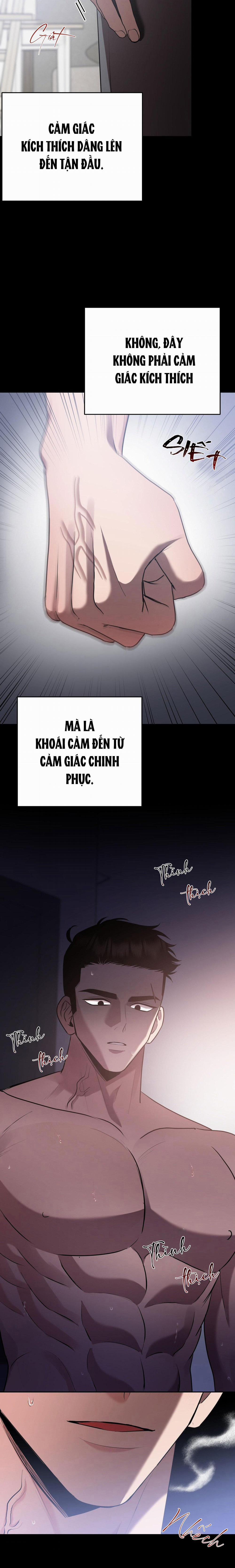 Điều 260 Bộ Luật Hình Sự 10 trang 24