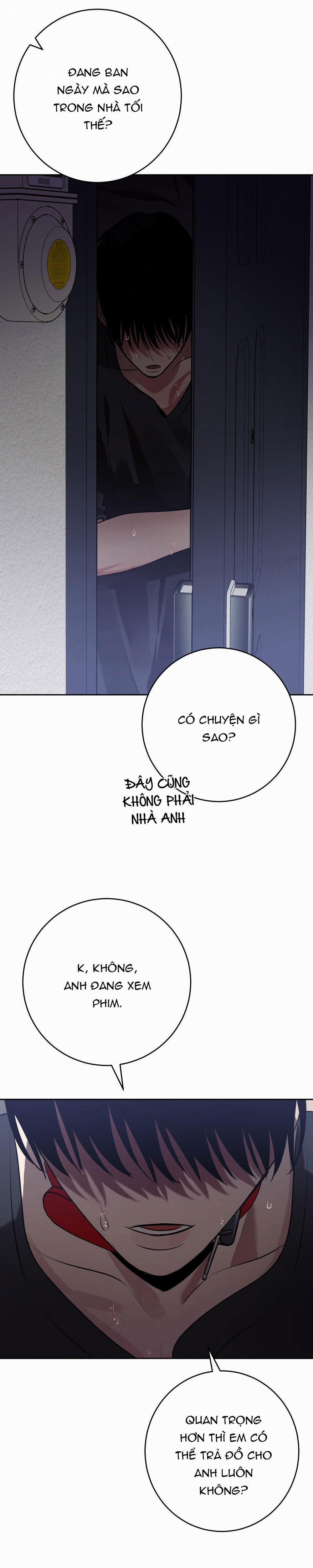 Điều 260 Bộ Luật Hình Sự 10 trang 3