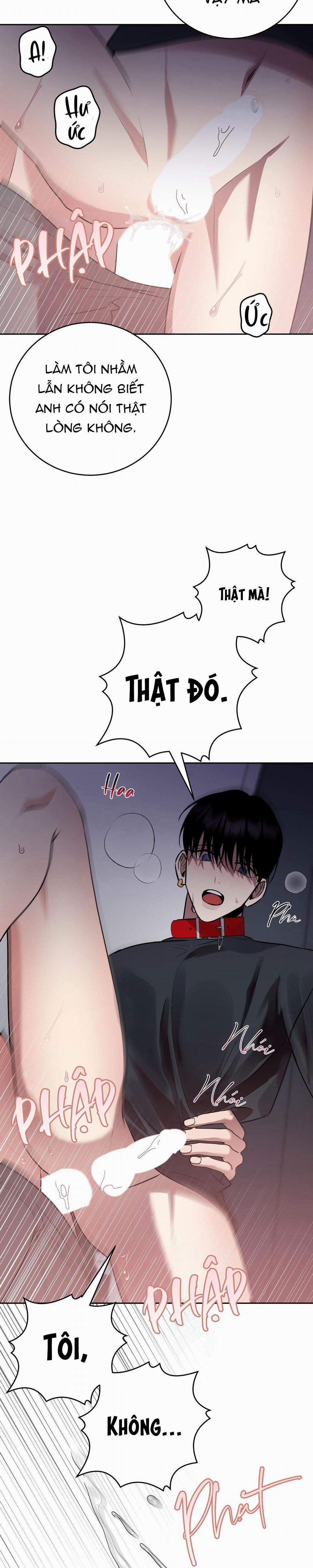 Điều 260 Bộ Luật Hình Sự 10 trang 8