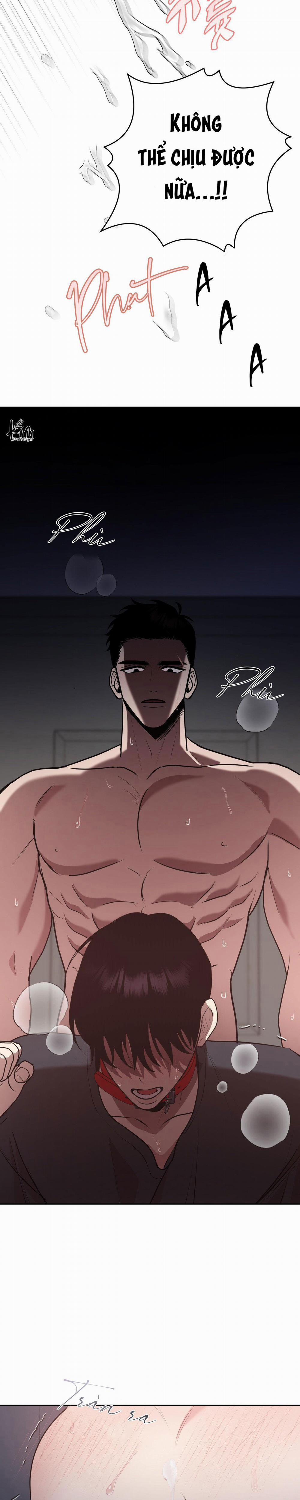 Điều 260 Bộ Luật Hình Sự 10 trang 9