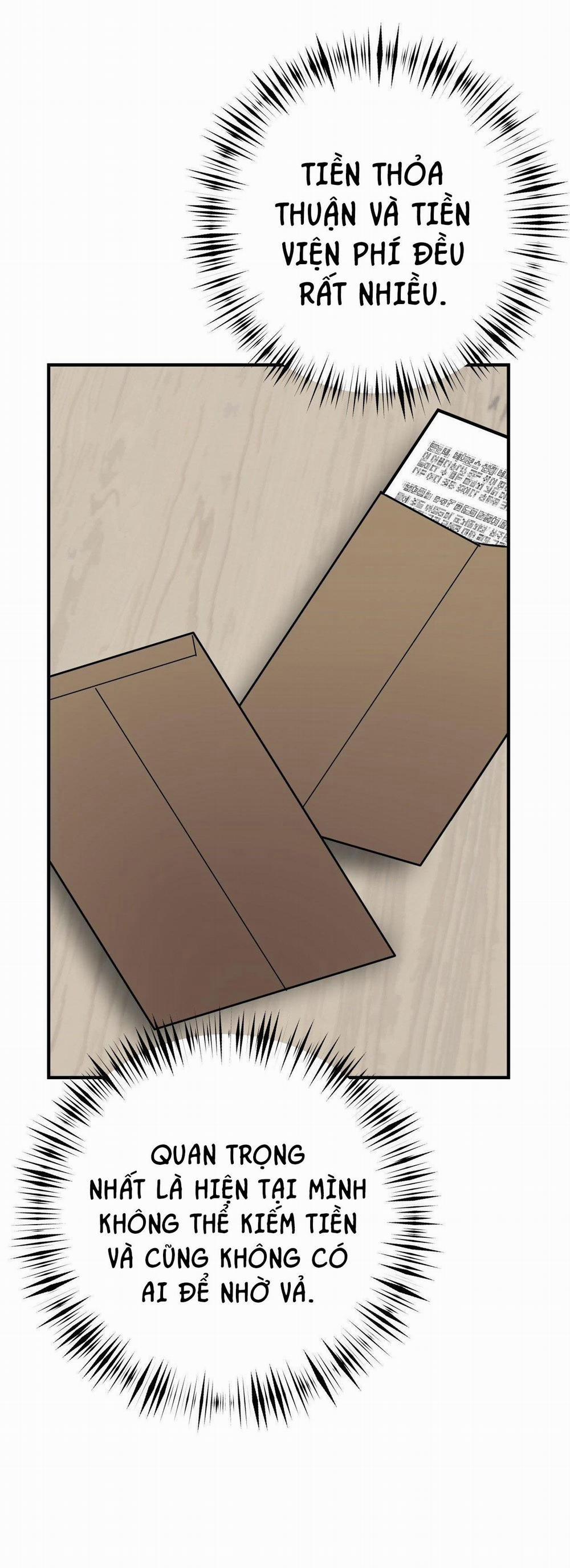 Điều 260 Bộ Luật Hình Sự 2 trang 24