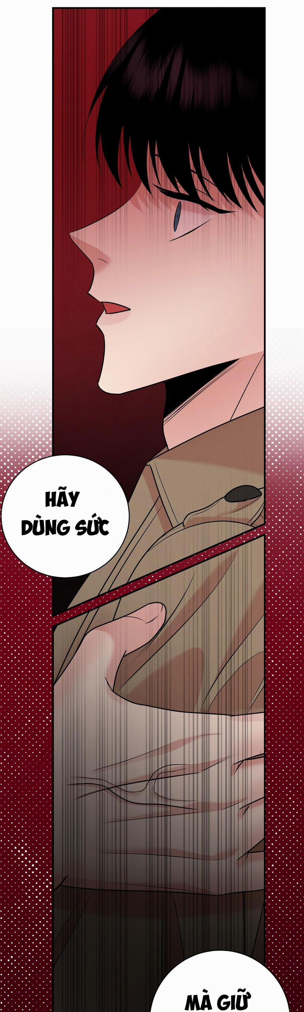 Điều 260 Bộ Luật Hình Sự 2 trang 43