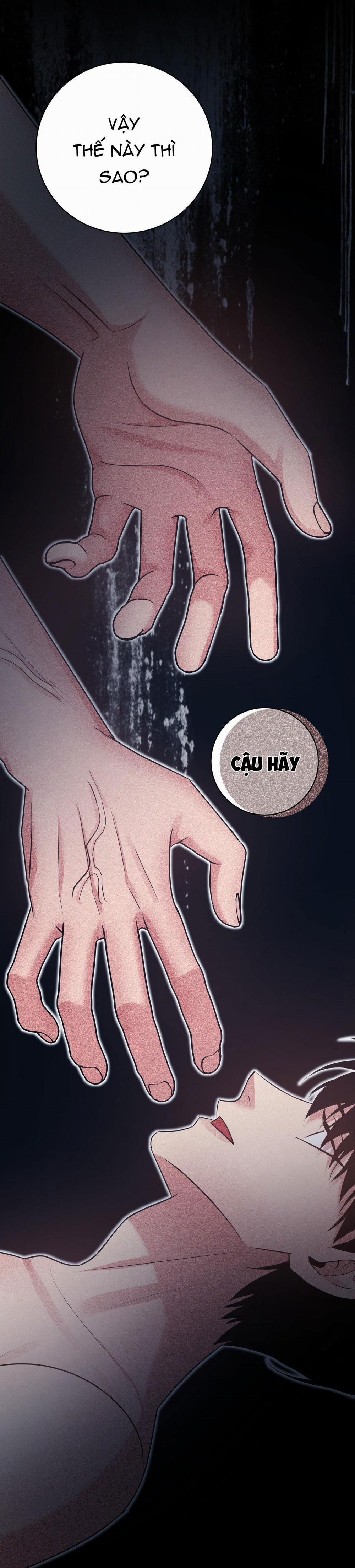 Điều 260 Bộ Luật Hình Sự 2 trang 44