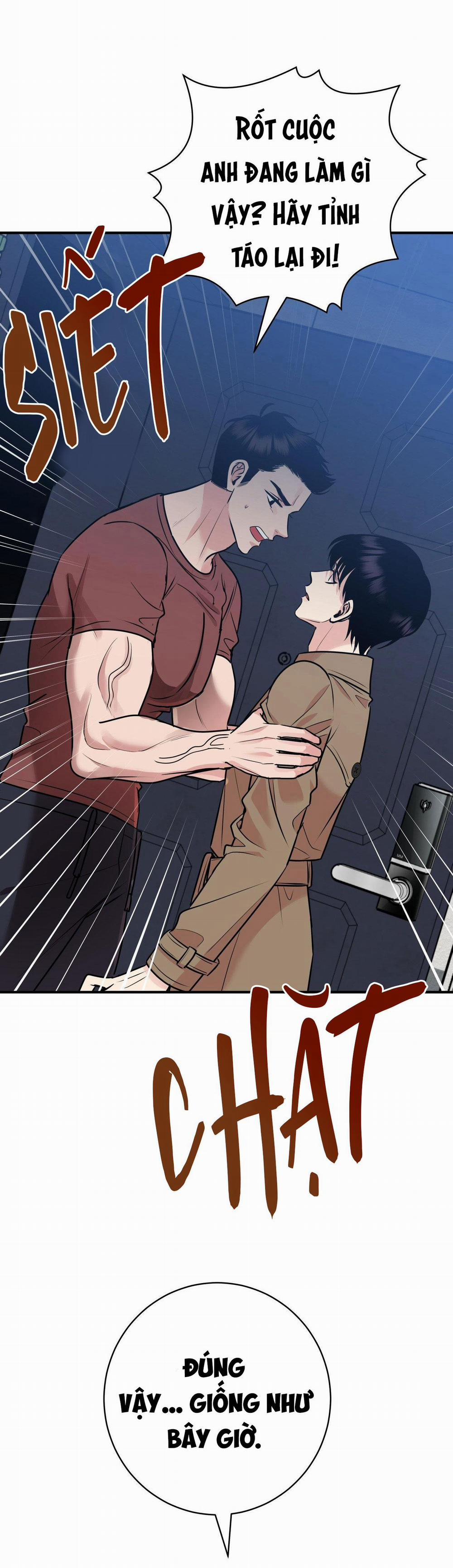 Điều 260 Bộ Luật Hình Sự 2 trang 48