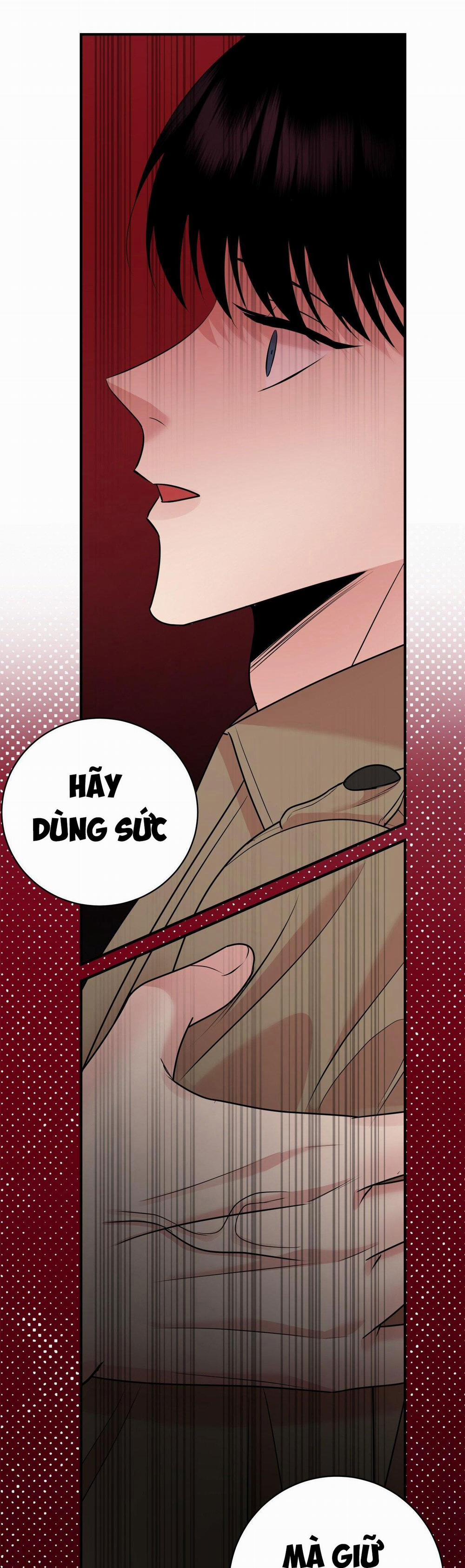 Điều 260 Bộ Luật Hình Sự 2 trang 49