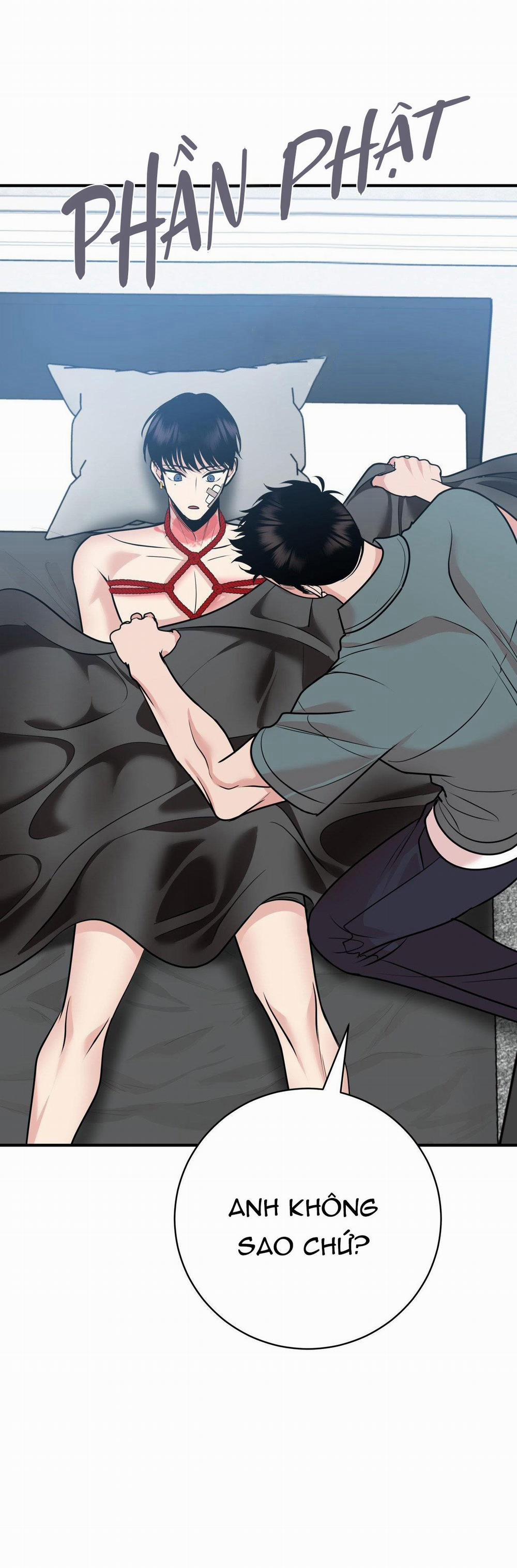 Điều 260 Bộ Luật Hình Sự 2 trang 5