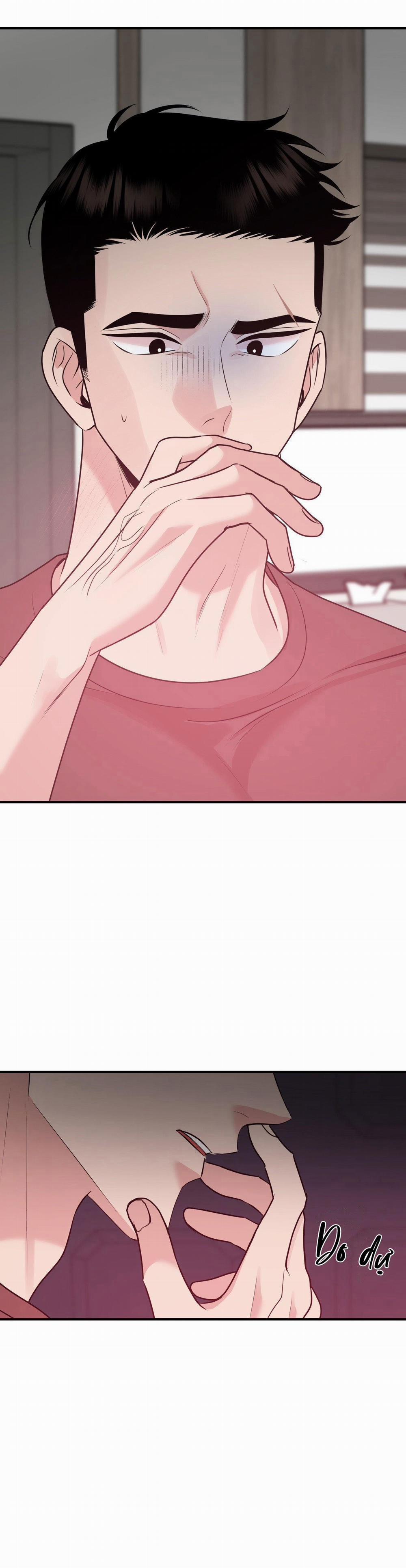 Điều 260 Bộ Luật Hình Sự 2 trang 53