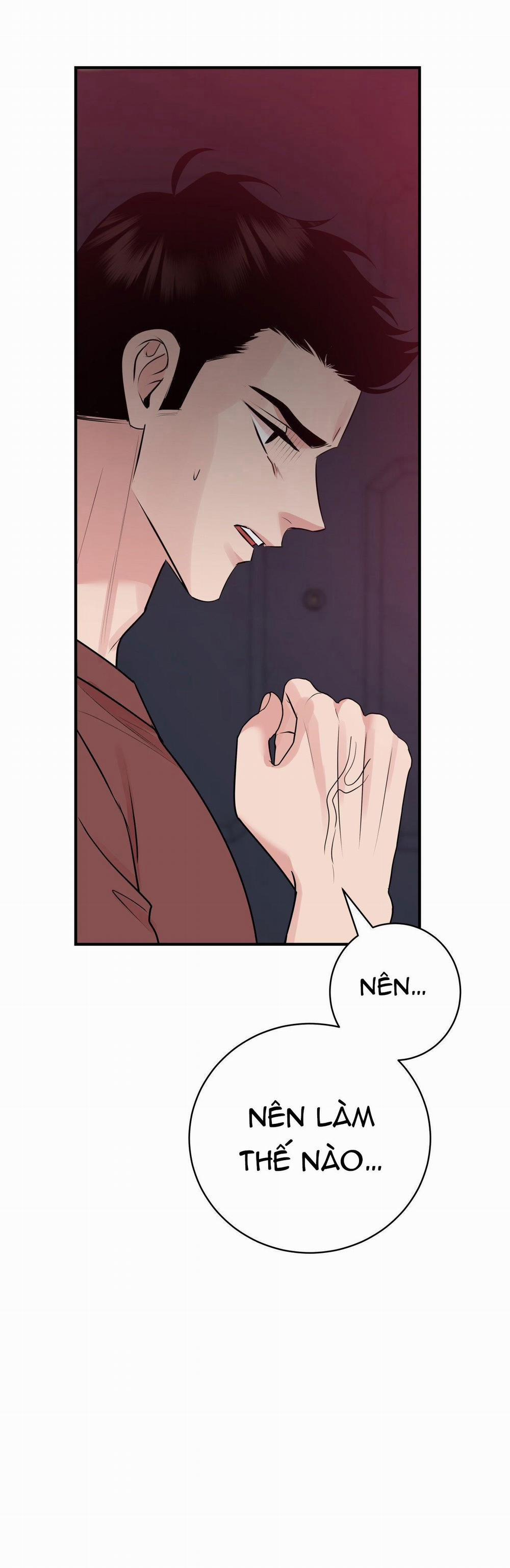 Điều 260 Bộ Luật Hình Sự 2 trang 54