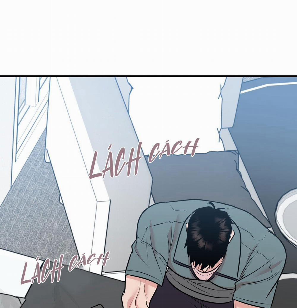 Điều 260 Bộ Luật Hình Sự 2 trang 7