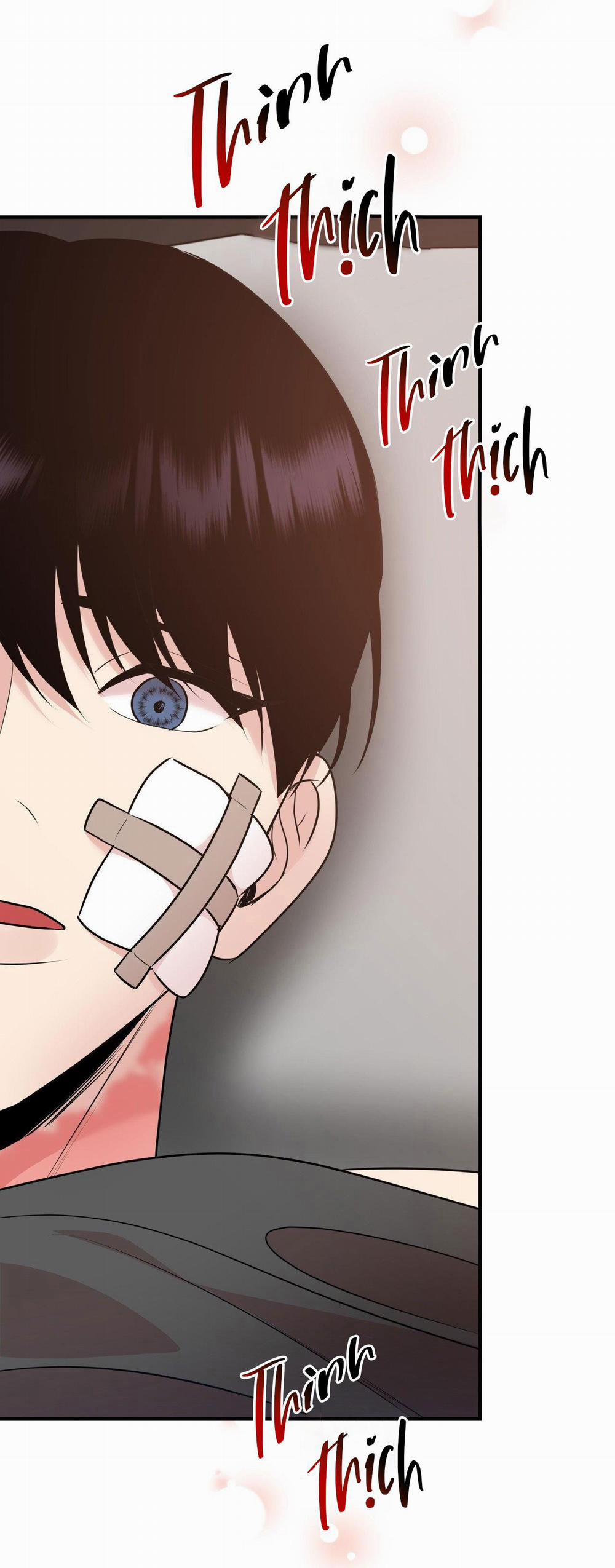 Điều 260 Bộ Luật Hình Sự 2 trang 9