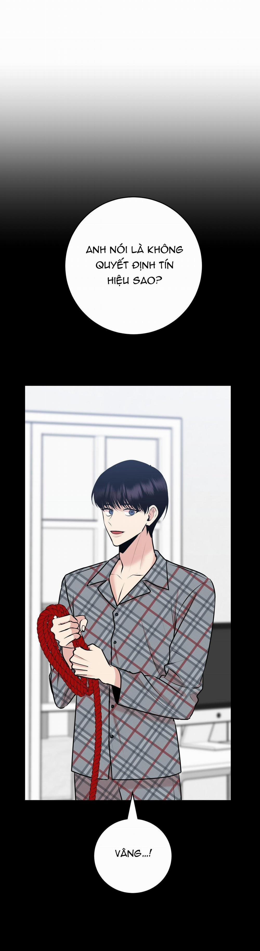 Điều 260 Bộ Luật Hình Sự 3 H+ trang 19