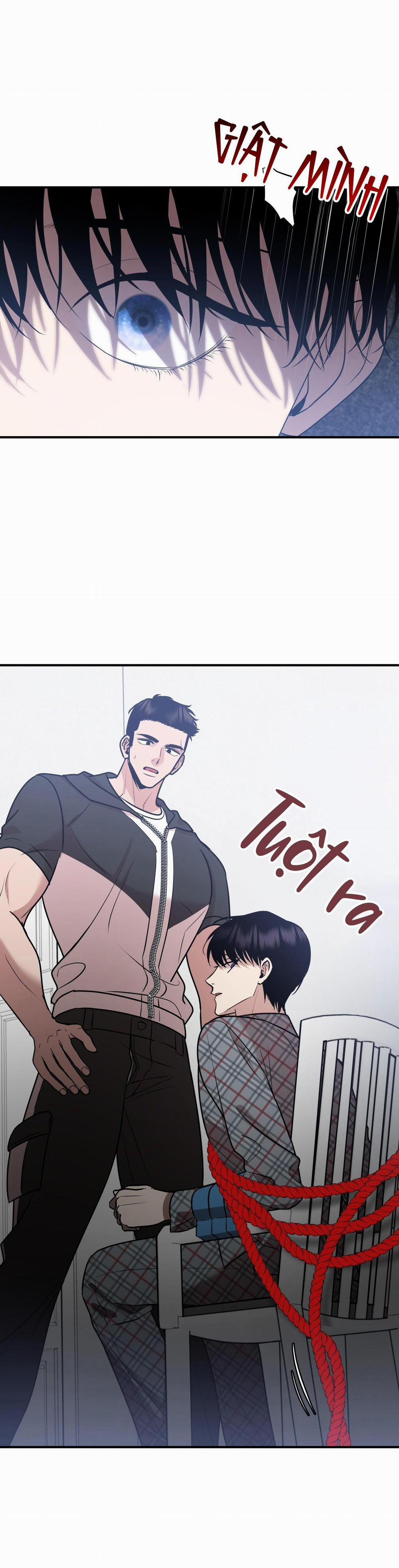 Điều 260 Bộ Luật Hình Sự 3 H+ trang 31