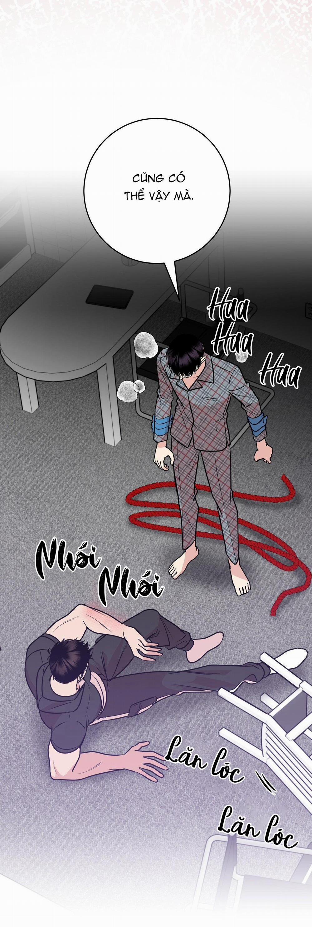 Điều 260 Bộ Luật Hình Sự 3 H+ trang 35