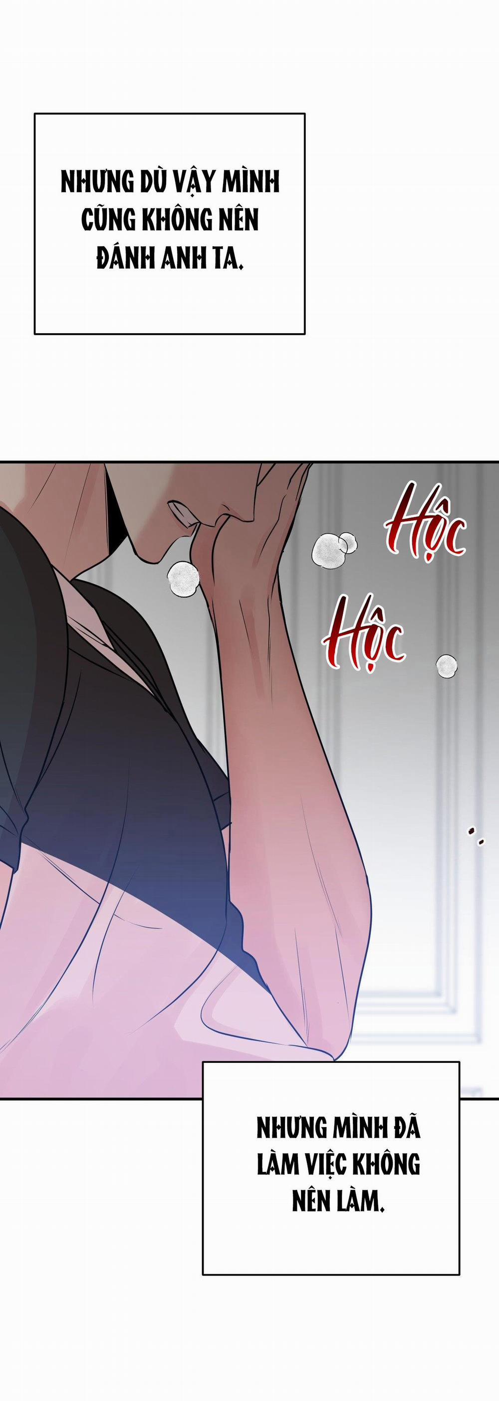 Điều 260 Bộ Luật Hình Sự 3 H+ trang 47