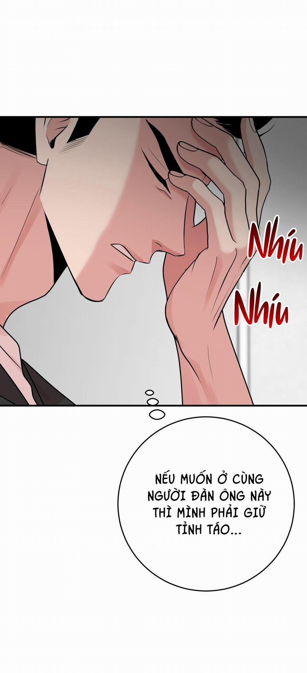 Điều 260 Bộ Luật Hình Sự 3 trang 23