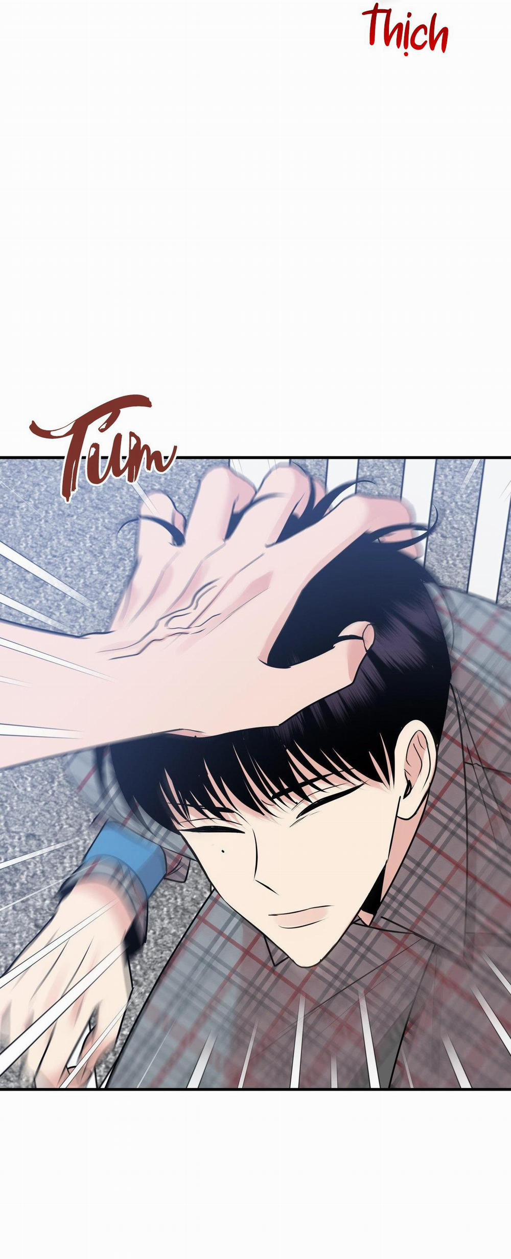 Điều 260 Bộ Luật Hình Sự 3 trang 27