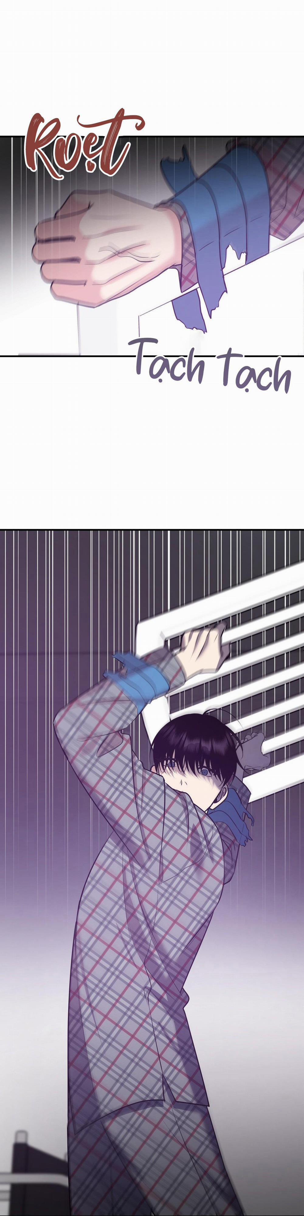 Điều 260 Bộ Luật Hình Sự 3 trang 33