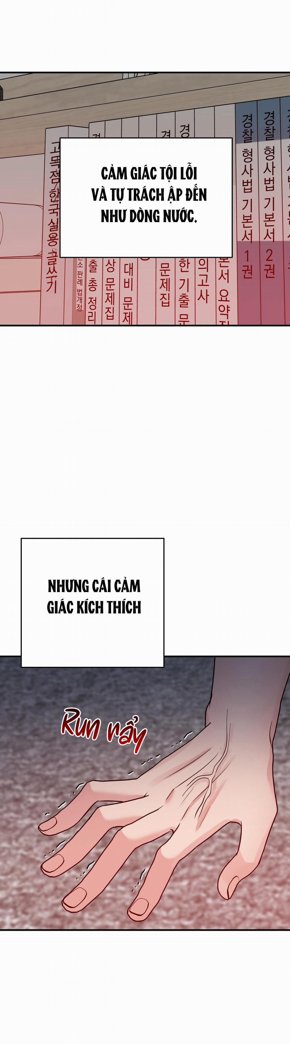 Điều 260 Bộ Luật Hình Sự 3 trang 48