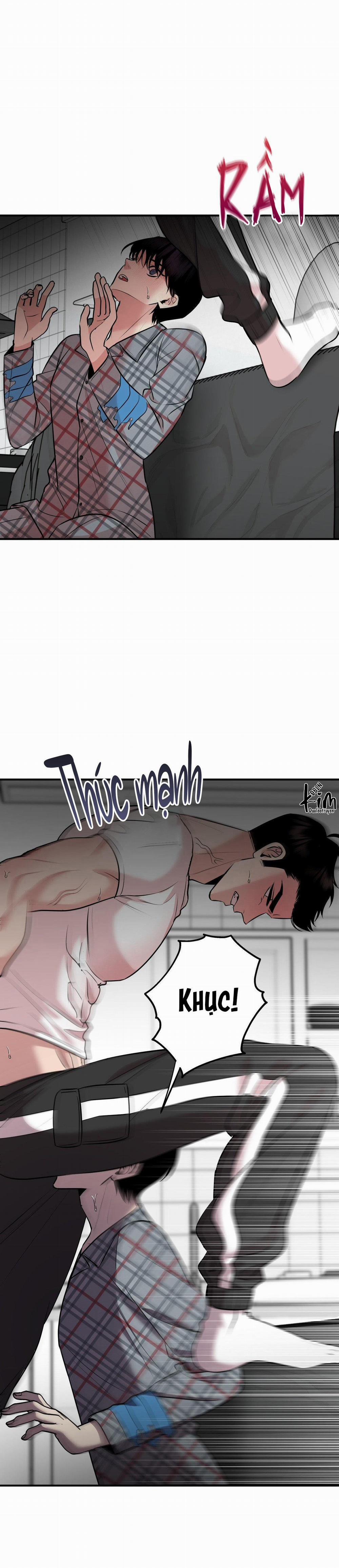 Điều 260 Bộ Luật Hình Sự 4 trang 10