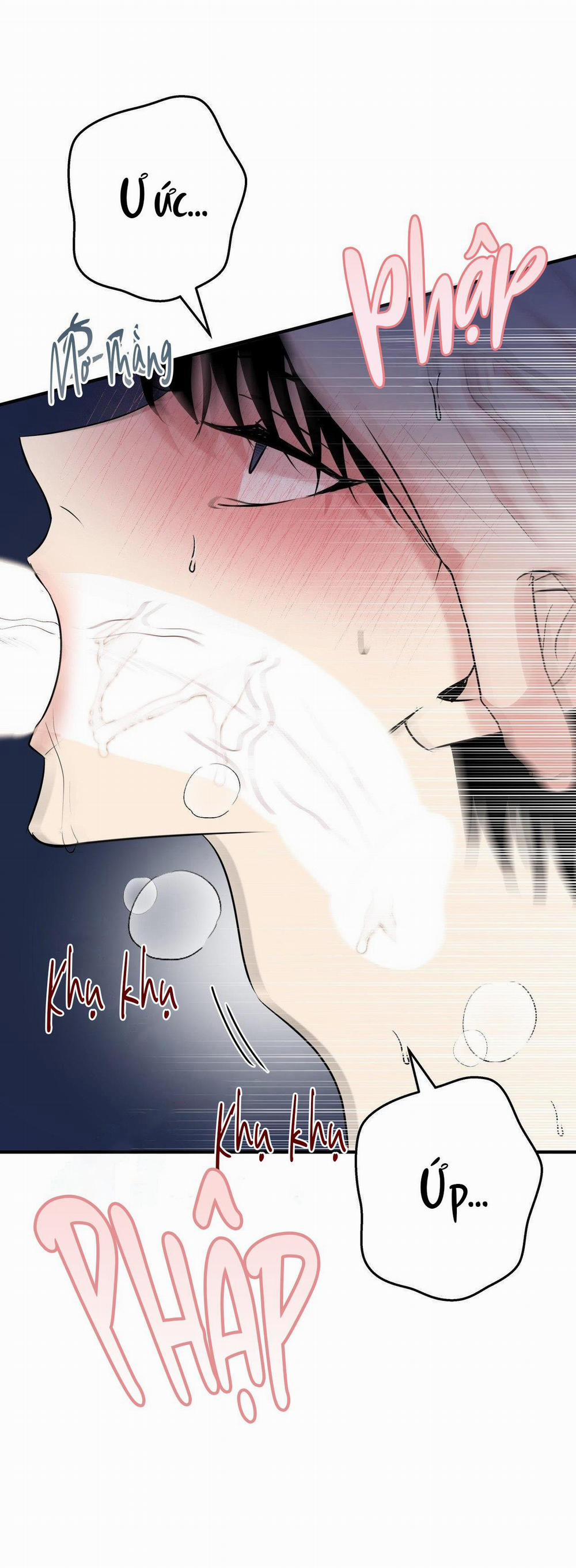 Điều 260 Bộ Luật Hình Sự 4 trang 12