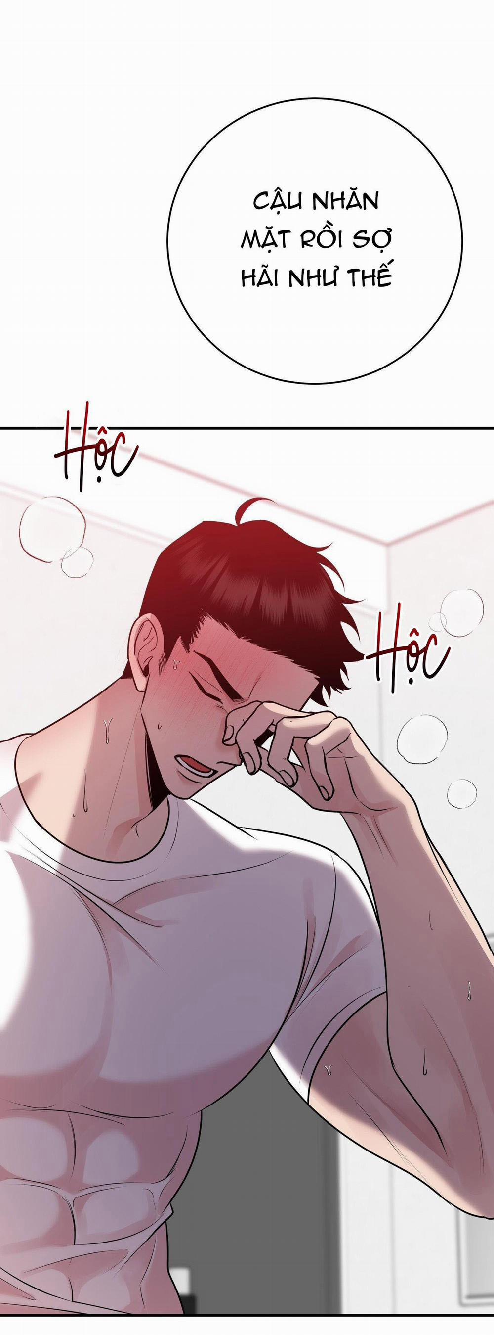 Điều 260 Bộ Luật Hình Sự 4 trang 16