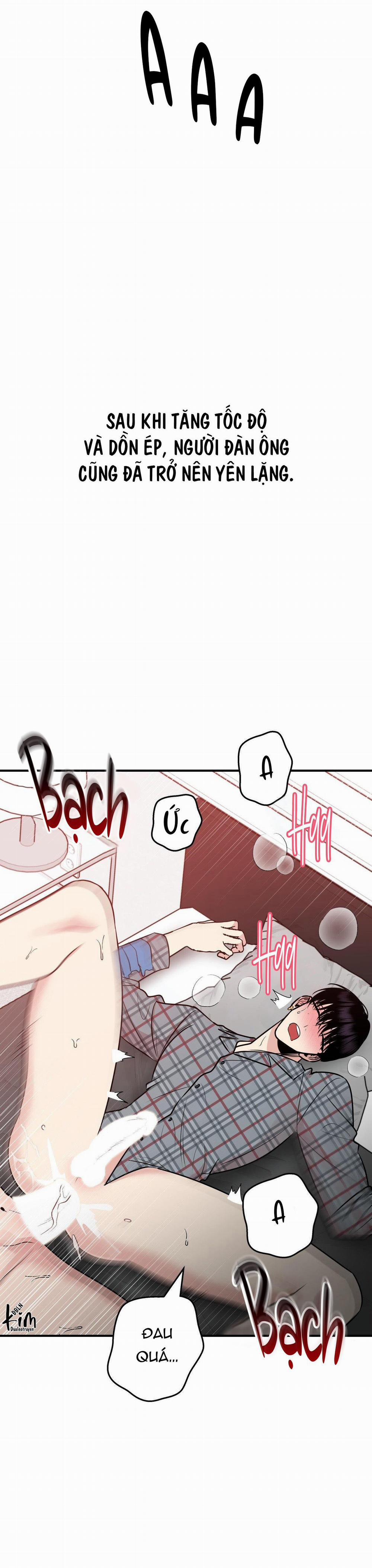 Điều 260 Bộ Luật Hình Sự 4 trang 27