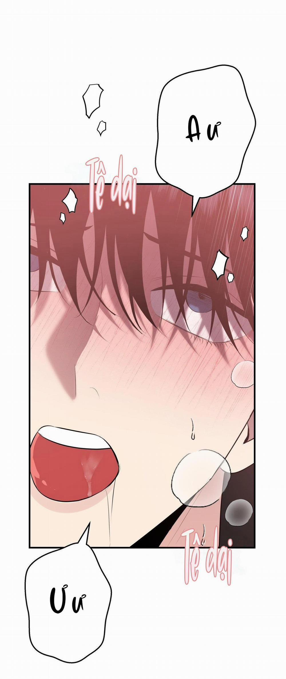 Điều 260 Bộ Luật Hình Sự 4 trang 30