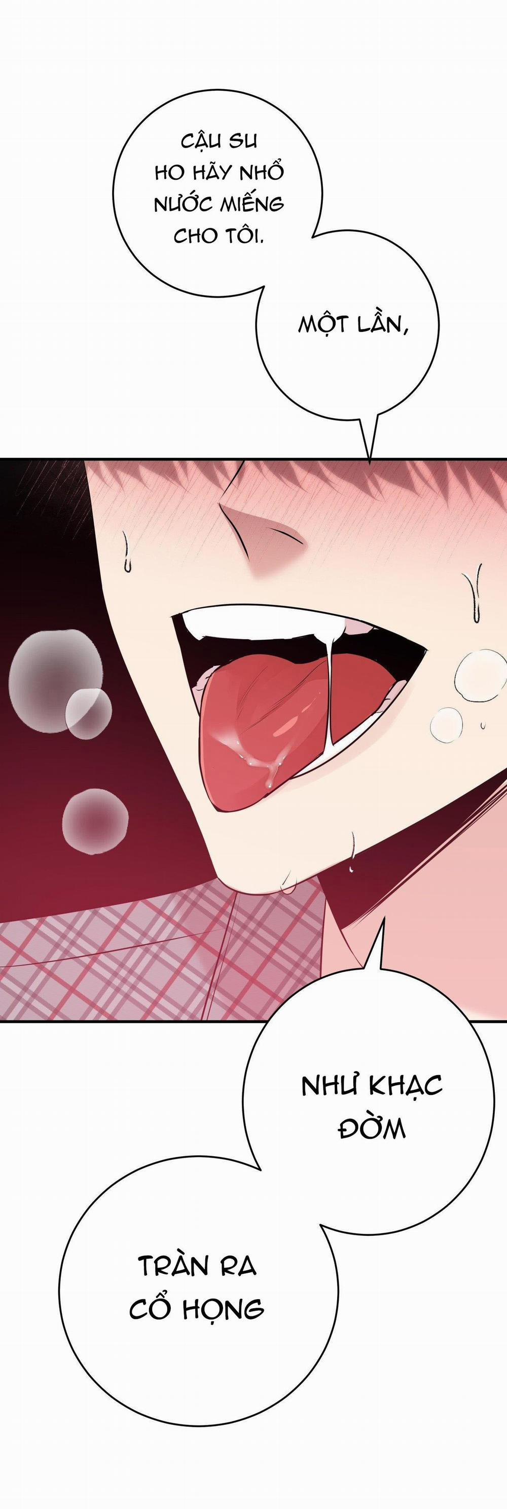 Điều 260 Bộ Luật Hình Sự 4 trang 41