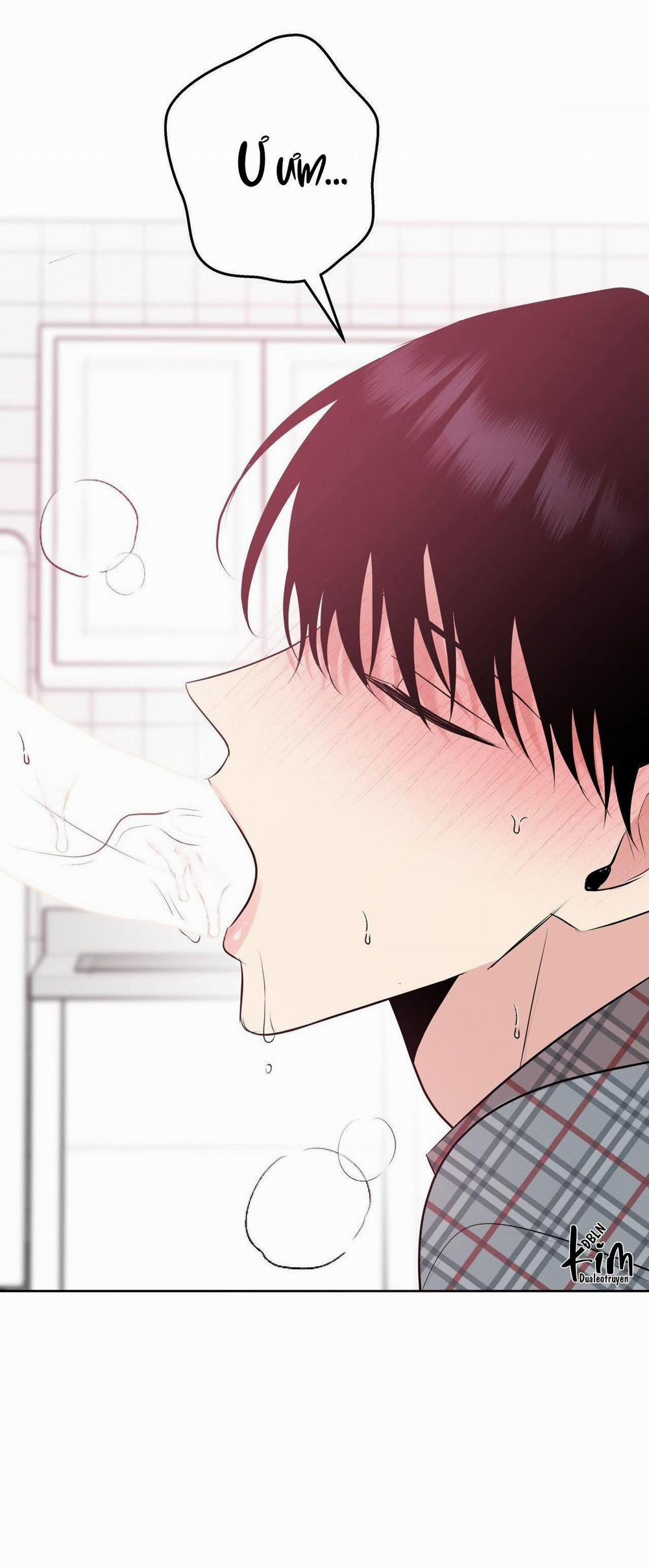 Điều 260 Bộ Luật Hình Sự 4 trang 6