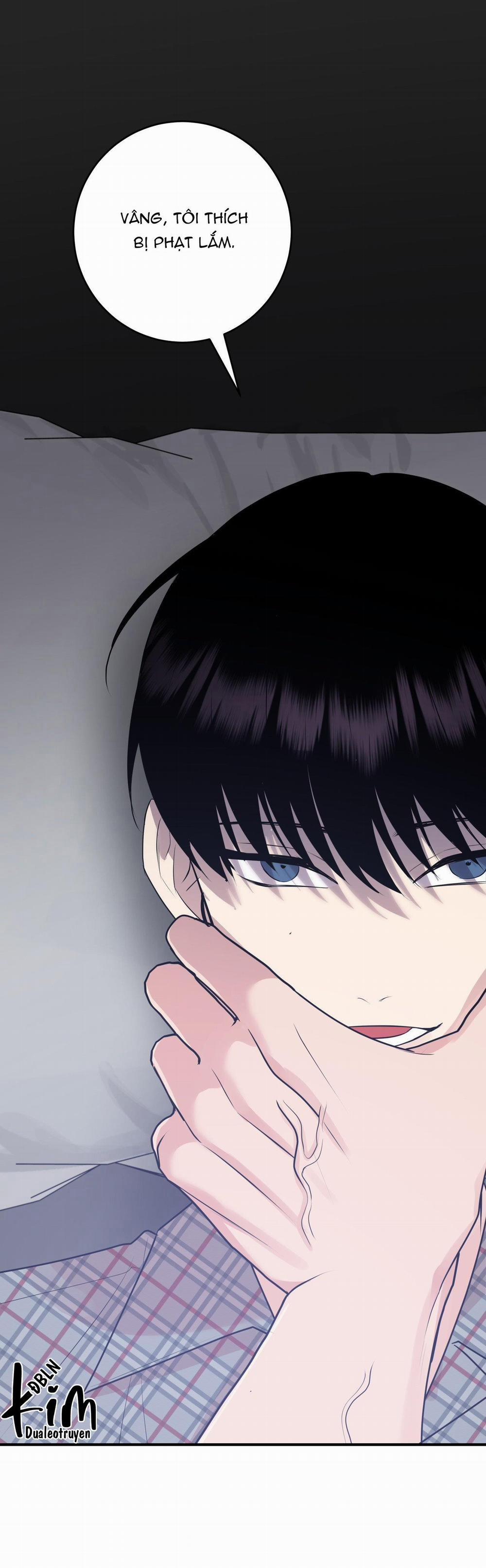 Điều 260 Bộ Luật Hình Sự 5 trang 1