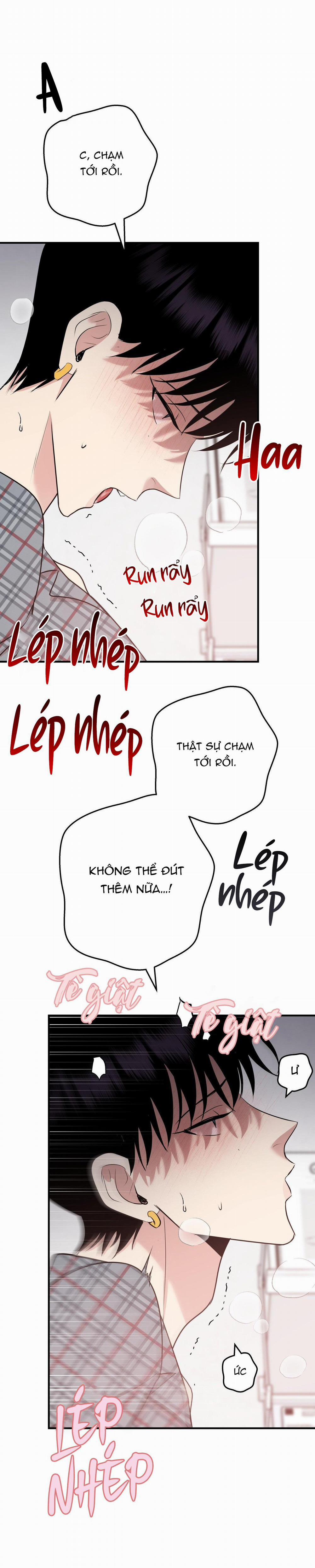 Điều 260 Bộ Luật Hình Sự 5 trang 16